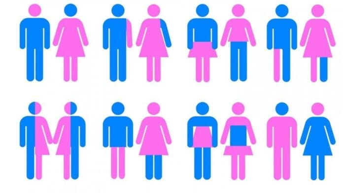 Bisexualité