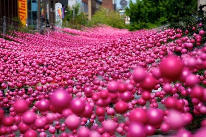 Les Boules Roses font le tour du monde !