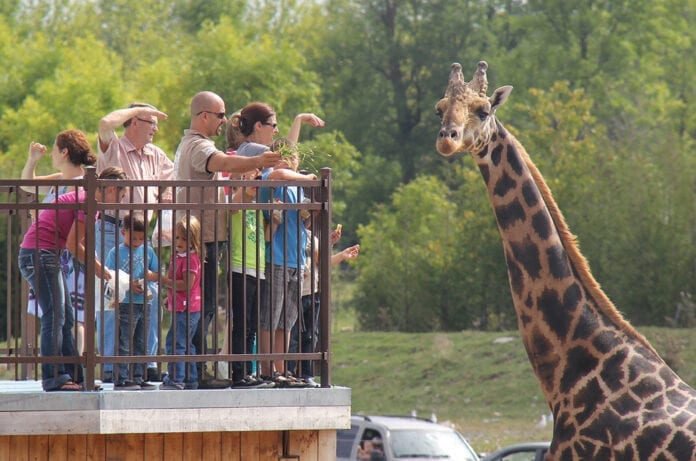 Parc Safari